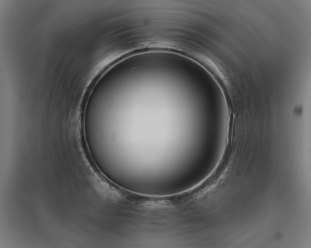 X0000096181133200801181306