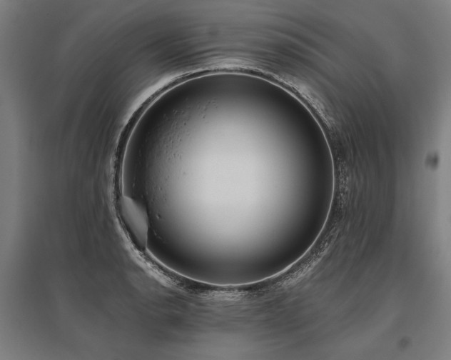 X0000096181134200801181306