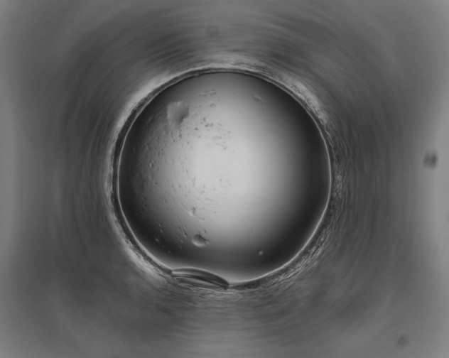 X0000096181136200801181306