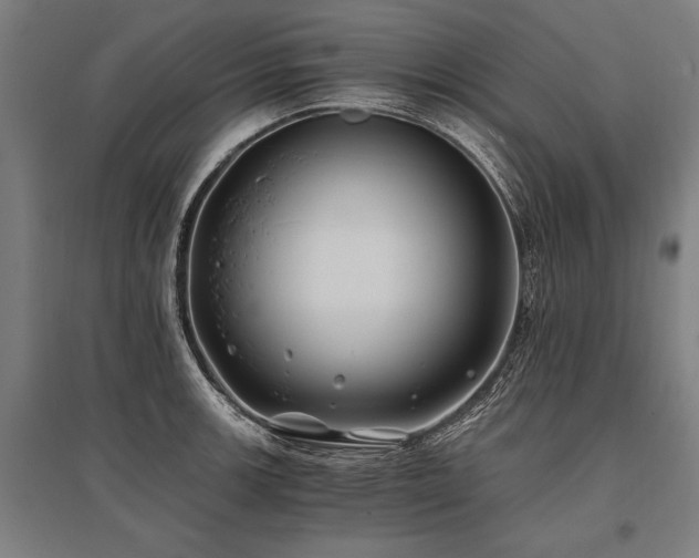 X0000096181139200801181306