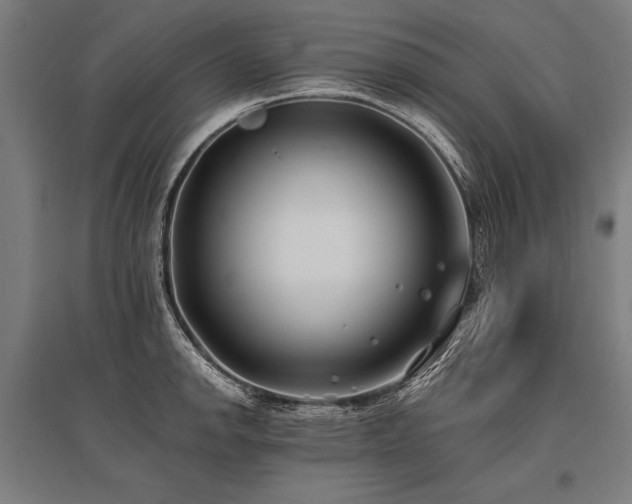 X0000096181142200801181307