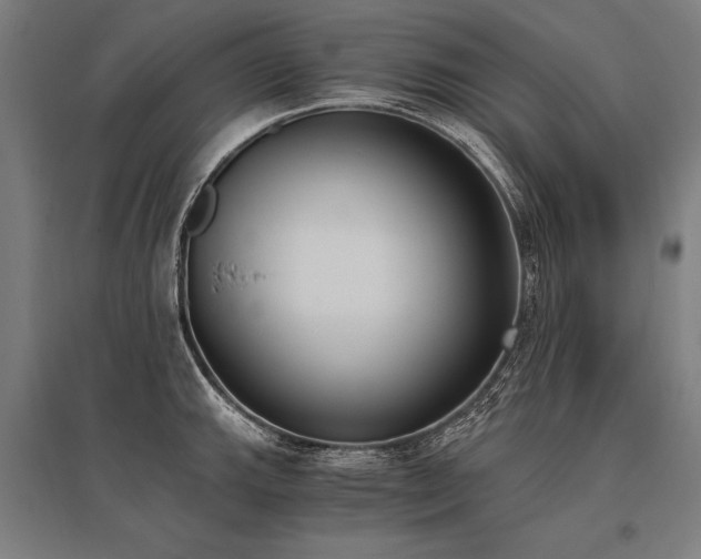 X0000096181143200801181307