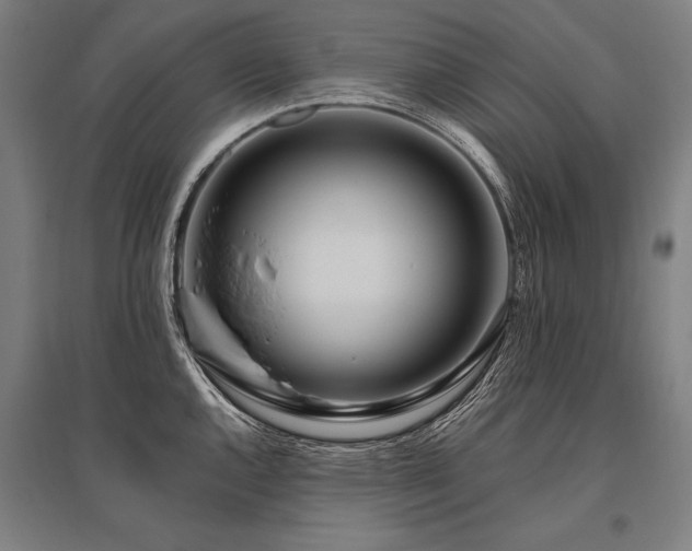 X0000096181144200801181307