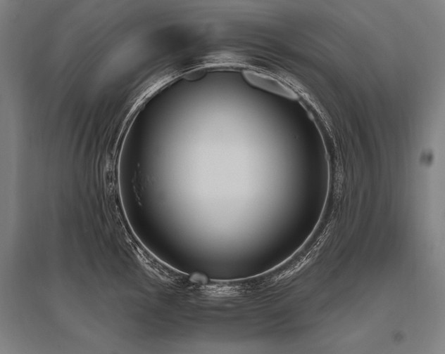 X0000096181145200801181307