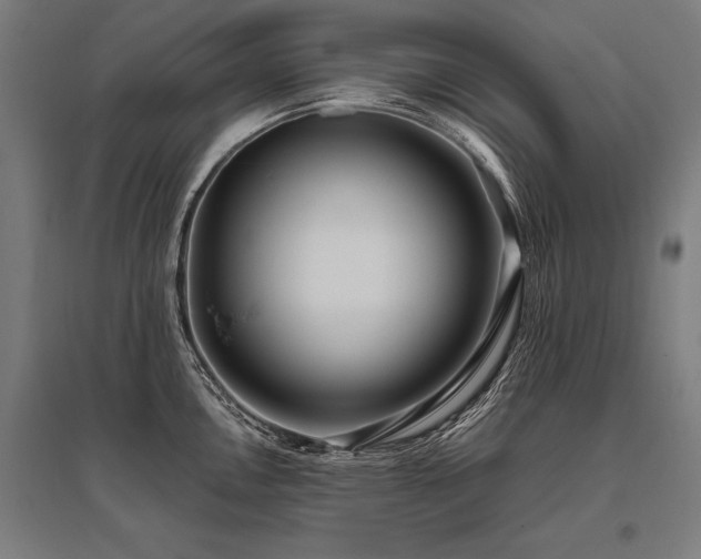 X0000096181146200801181307