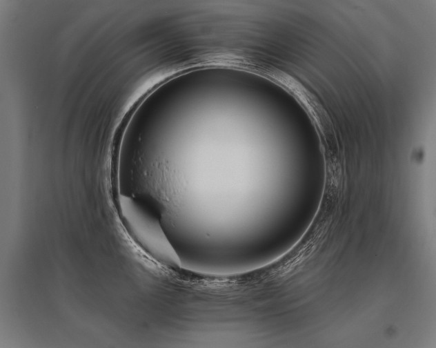X0000096181147200801181307