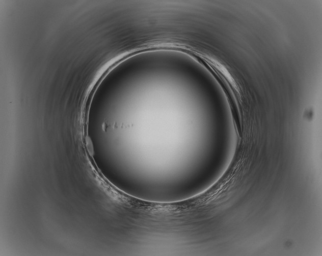 X0000096181148200801181307