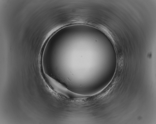 X0000096181149200801181307