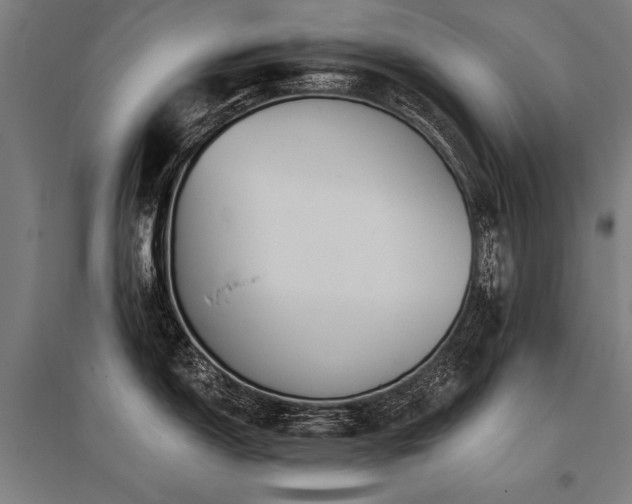 X0000096181150200801181307