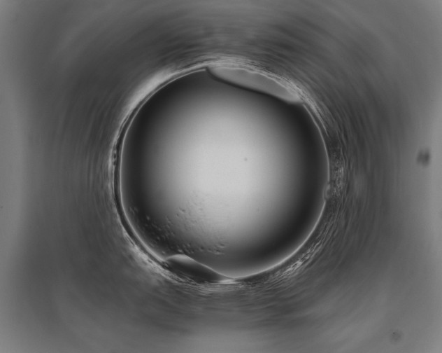 X0000096181151200801181307