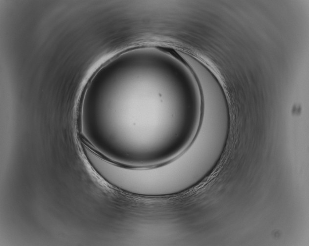 X0000096181152200801181307