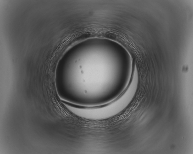 X0000096181153200801181306