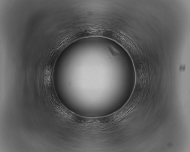 X0000096181154200801181306
