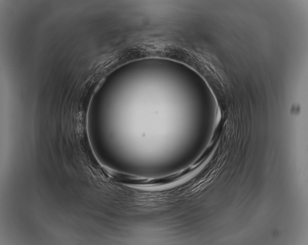 X0000096181156200801181306