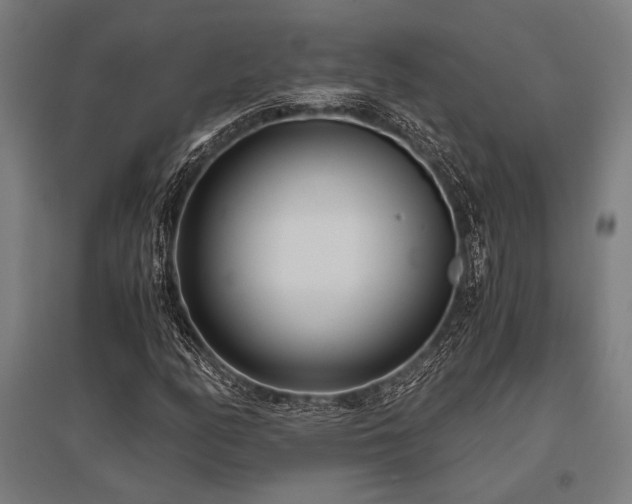 X0000096181158200801181306