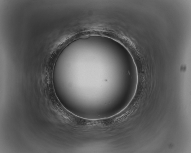 X0000096181159200801181306