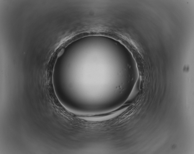 X0000096181160200801181306