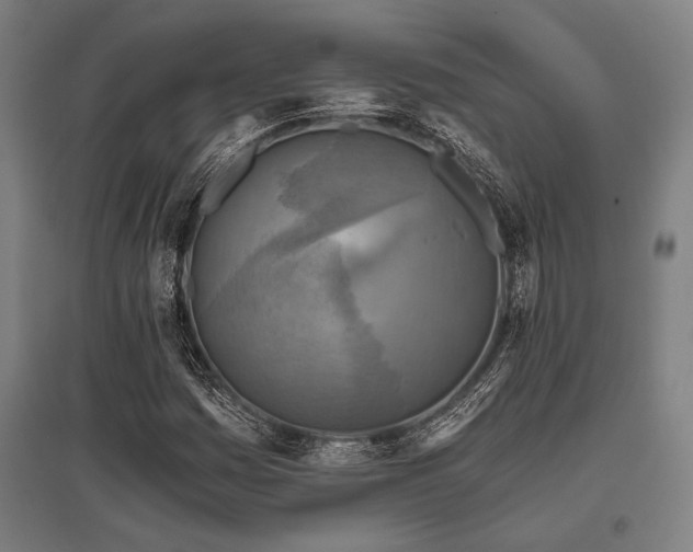 X0000096181161200801181306