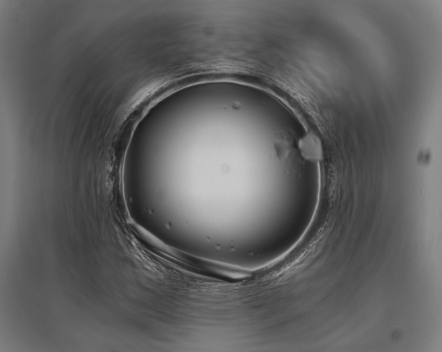 X0000096181163200801181306