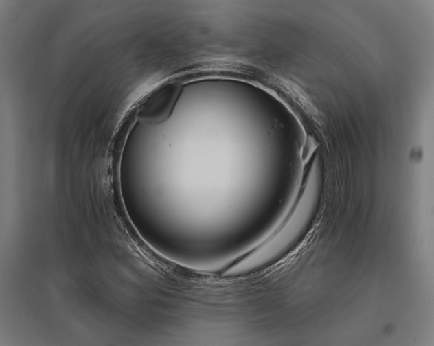 X0000096181164200801181306