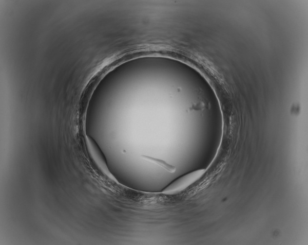 X0000096181165200801181306