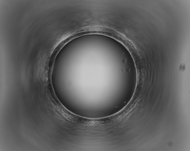 X0000096181166200801181306