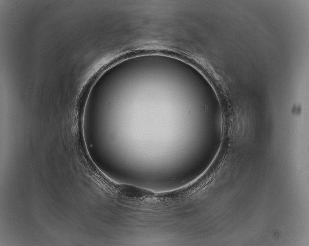 X0000096181167200801181306