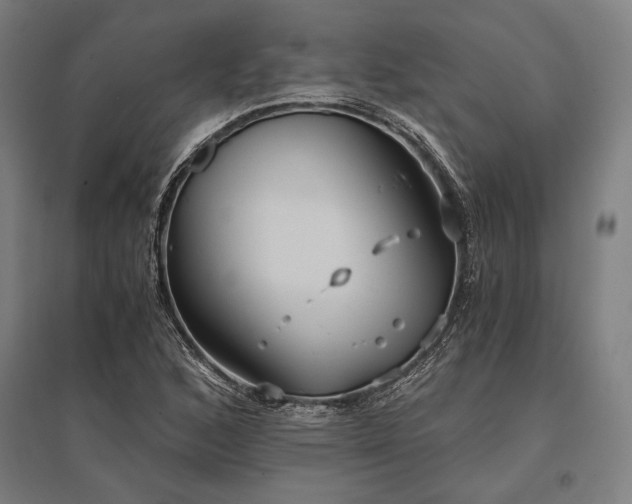 X0000096181168200801181306