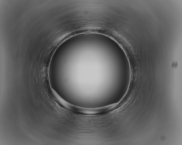 X0000096181169200801181306