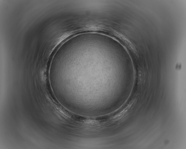 X0000096181170200801181306