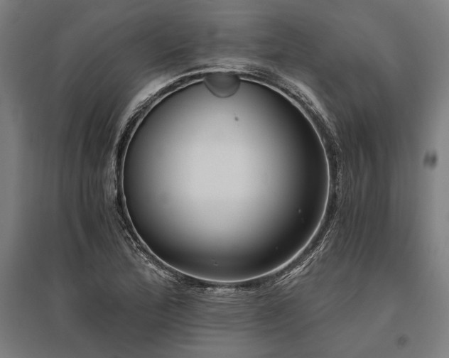 X0000096181172200801181306