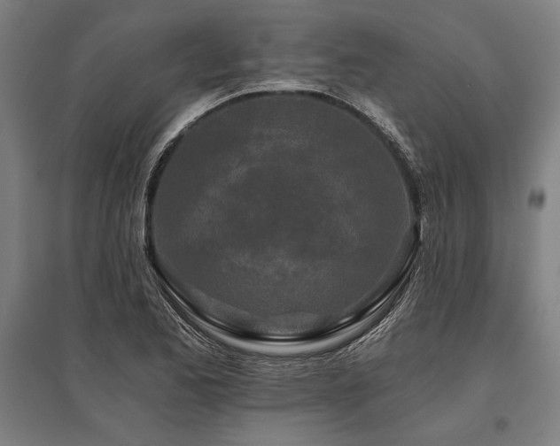 X0000096181173200801181306