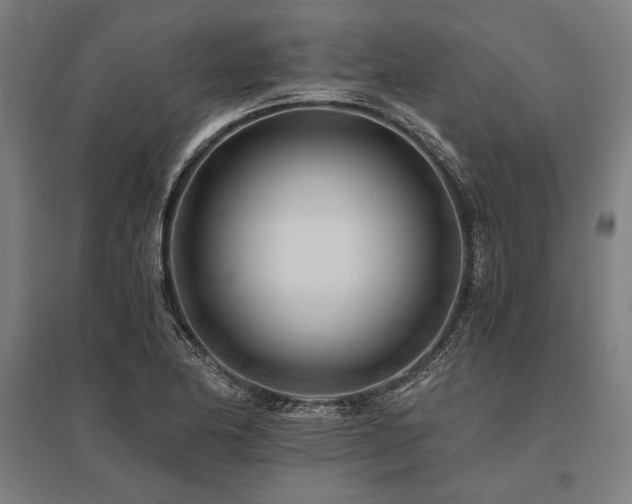 X0000096181174200801181306