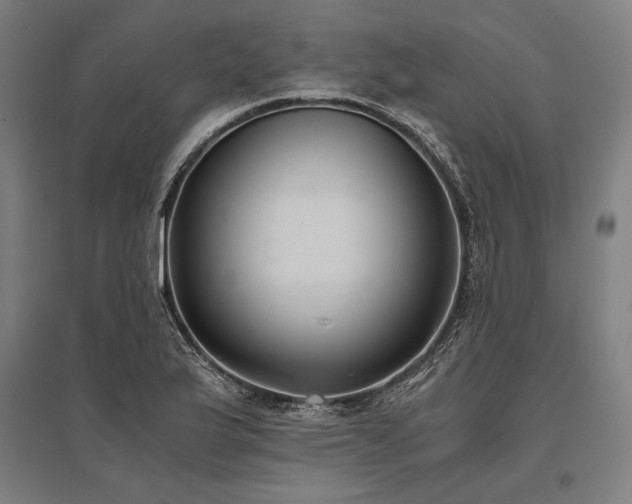 X0000096181175200801181306