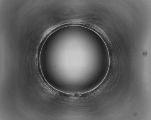 X0000096181176200801181306