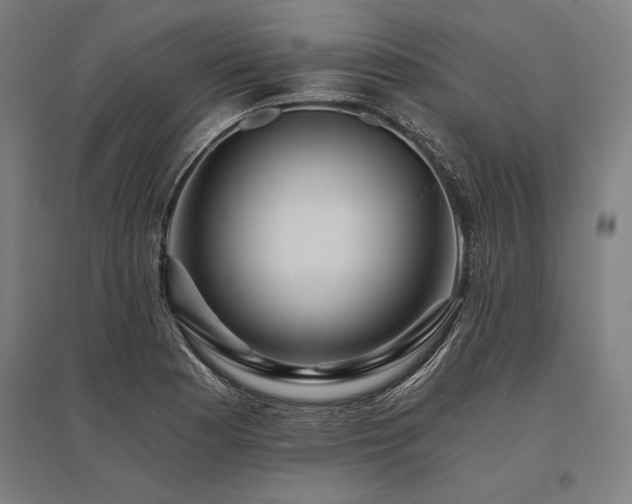 X0000096181177200801181306