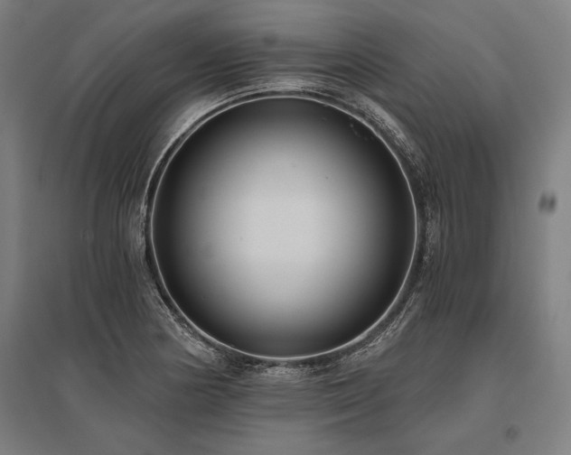 X0000096181178200801181306