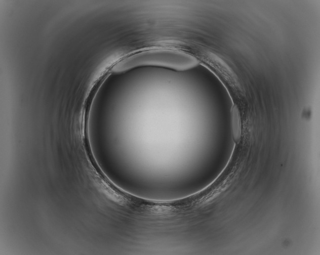 X0000096181180200801181306