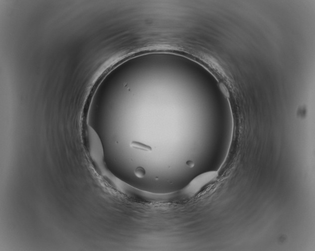 X0000096181181200801181306