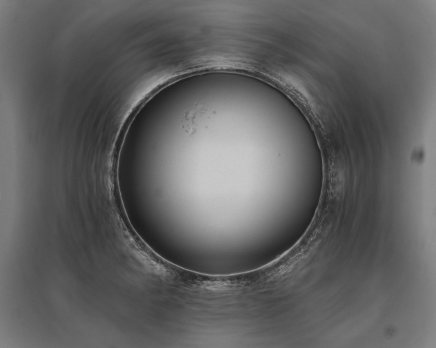 X0000096181182200801181306