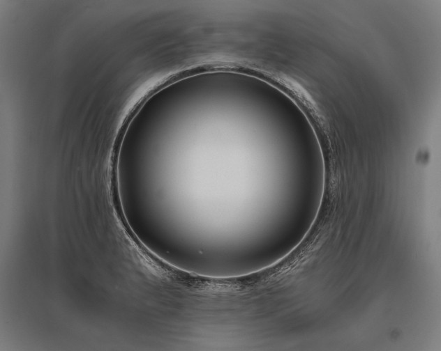 X0000096181183200801181306