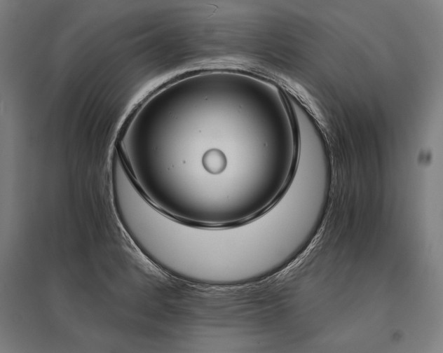 X0000096181184200801181306