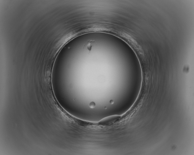 X0000096181185200801181306