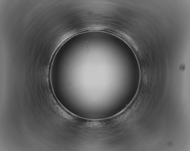 X0000096181186200801181306