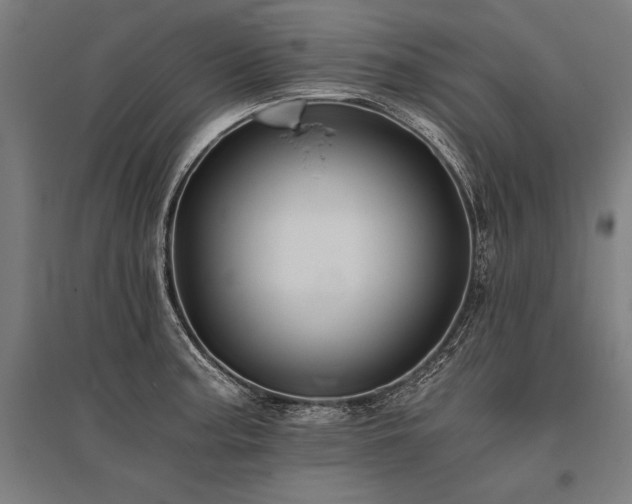X0000096181187200801181306