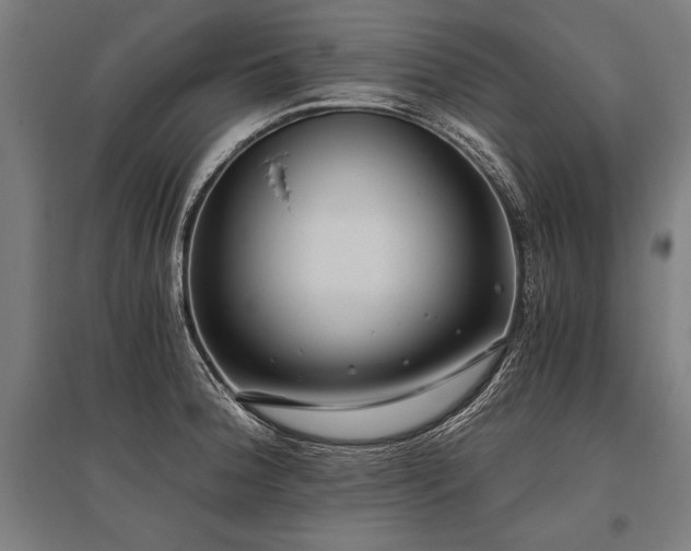 X0000096181188200801181306