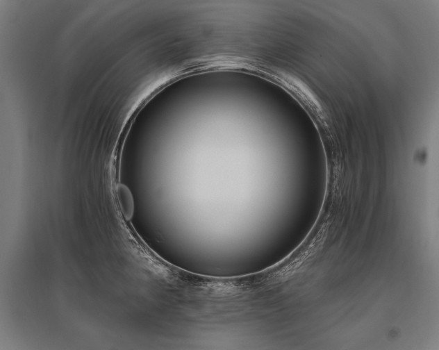 X0000096181190200801181305