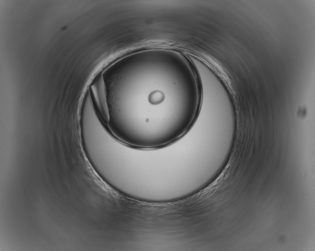 X0000096181192200801181305