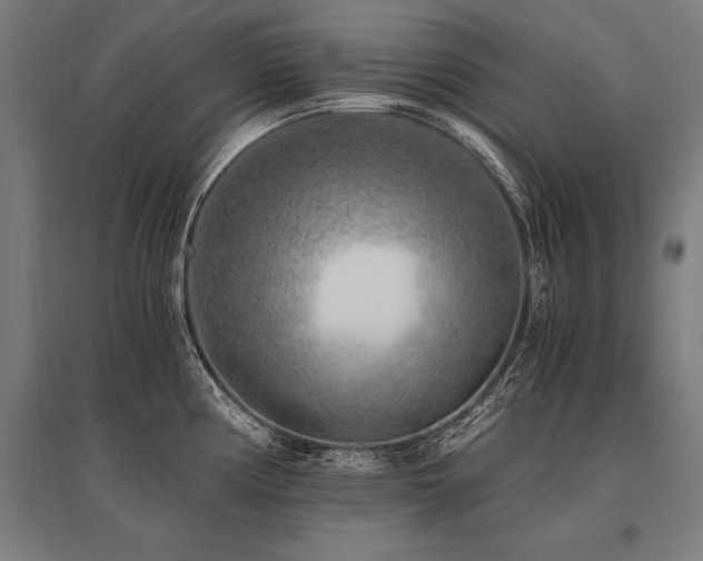 X0000096181194200801181305
