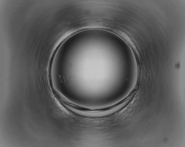 X0000096181197200801181305